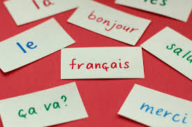 Top 6 Institutes to Learn French Language Courses in India